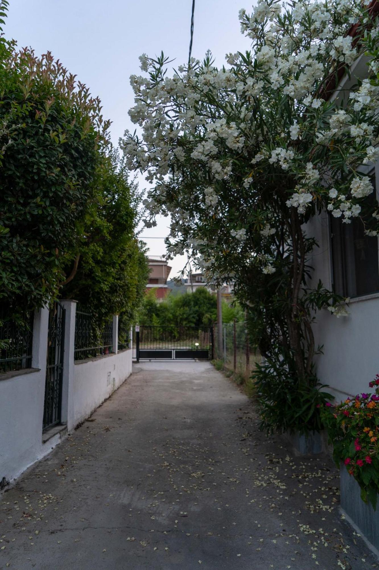 Terrazzo House Villa Platamonas Ngoại thất bức ảnh